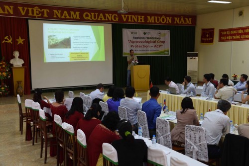 Chuyên gia CIRAD trình bày chuyên đề tại hội thảo