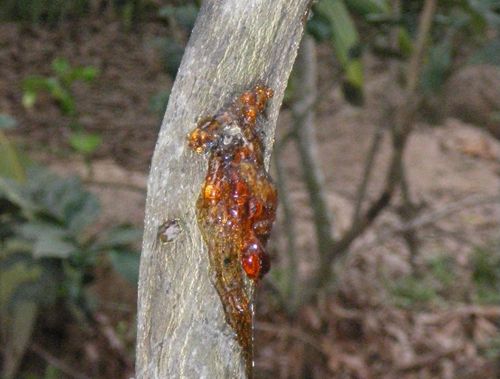 HwETC0q3qVSXhRfoT3q0wxRWyxc4946MnGwPD5pTwgmVo4DrK er7JQMuj5fOHqXWoFXyF484xnIp6XD3Aq7wHg4ltaVUCCiv TArGFf